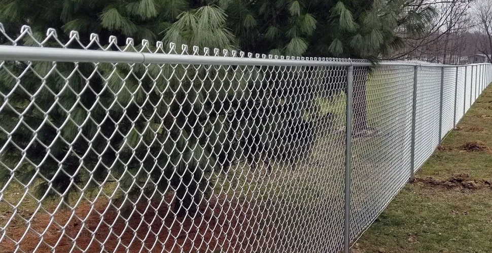 Забор из сетки-рабицы: плюсы и минусы